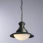 Подвесной светильник Arte Lamp Gambrinus A9256SP-1BG - фото №2