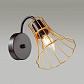 Бра Lumion Ingrid 3776/1W - фото №2