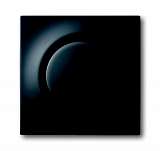 Лицевая панель ABB 2CKA006599A2976