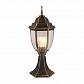 Уличный светильник Arte Lamp Pegasus A3151FN-1BN - фото №1