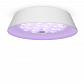 Потолочный светодиодный светильник Freya Cells FR10013CL-L24W - фото №7