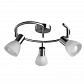 Спот Arte Lamp Parry A5062PL-3SS - фото №1