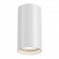 Потолочный светильник Maytoni Focus S C052CL-01W - фото №1