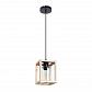 Подвесной светильник Arte Lamp Dublin A7025SP-1BK - фото №1