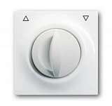 Лицевая панель ABB 2CKA001753A4864