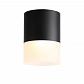 Потолочный светодиодный светильник ST Luce Ottu ST100.442.15 - фото №1