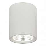 Потолочный светодиодный светильник Escada 20003SMU/02LED SWH