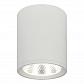 Потолочный светодиодный светильник Escada 20003SMU/02LED SWH - фото №1