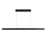 Подвесной светодиодный светильник Arte Lamp Lao A2190SP-1BK