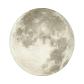 Настенно-потолочный светодиодный светильник Sonex Moon 3084/DL - фото №2