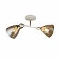 Потолочная люстра Milosh Tendence 0723CL-2WH - фото №1
