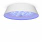 Потолочный светодиодный светильник Freya Cells FR10013CL-L24W - фото №9