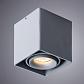 Потолочный светильник Arte Lamp Pictor A5654PL-1GY - фото №3