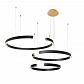 Подвесной светодиодный светильник Loft IT Ring 10025/3 Black - фото №1