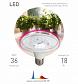 Лампа светодиодная для растений ЭРА FITO-18W-RB-E27 Б0049533 - фото №2