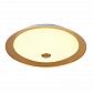 Потолочный светильник Maytoni Euler CL815-PT50-G - фото №2