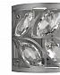 Настенный светильник Vele Luce Rosa VL3216W01 - фото №4