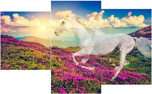 Мини модульная картина Toplight 55х94см TL-MM1014