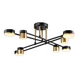 Потолочная светодиодная люстра Escada Perspective 10246/8LED