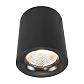 Потолочный светодиодный светильник Arte Lamp Facile A5118PL-1BK - фото №1