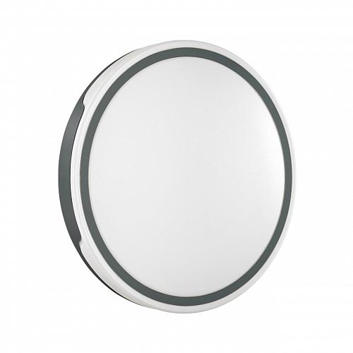 Настенно-потолочный светодиодный светильник Sonex Tan Avella 3051/DL