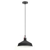 Подвесной светильник ЭРА Loft PL2 BK/RC Б0037413