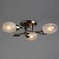 Потолочная люстра Arte Lamp Anetta A6157PL-3AB - фото №2