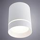Потолочный светодиодный светильник Arte Lamp Elle A1949PL-1WH - фото №2