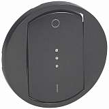 Лицевая панель Legrand 067923