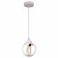 Подвесной светильник Lussole Loft Tanaina GRLSP-8035 - фото №1
