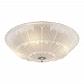 Потолочный светильник Lightstar Zucche 820244 - фото №1