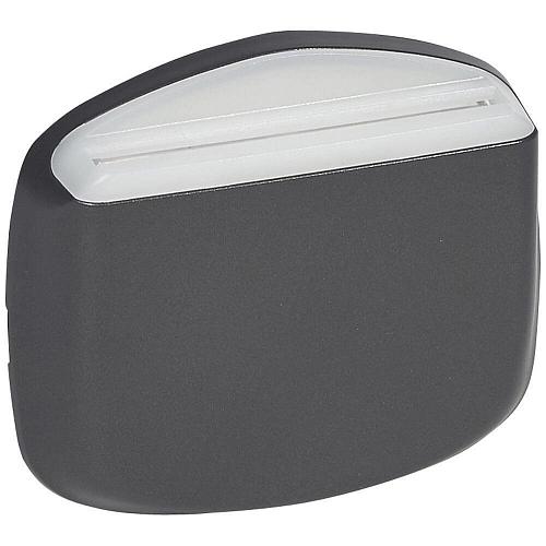 Лицевая панель Legrand Celiane выключателя карточного графит 067909