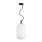 Подвесной светильник Odeon Light Roofi 4751/1 - фото №1