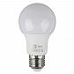 Лампа светодиодная ЭРА E27 6W 2700K матовая ECO LED A60-6W-827-E27 Б0020617 - фото №1