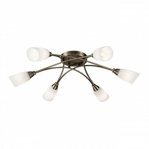 Потолочная люстра Freya Alice FR5021CL-06BZ