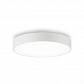 Потолочный светодиодный светильник Ideal Lux Halo Pl D35 4000K 223193 - фото №1