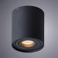 Потолочный светильник Arte Lamp Falcon A5645PL-1BK - фото №2