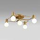 Потолочная люстра Italline Vega PL 6088/5 bronze - фото №2
