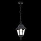Уличный подвесной светильник Maytoni Abbey Road O003PL-01B - фото №2