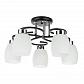 Потолочная люстра Arte Lamp Krit A4505PL-5BK - фото №1