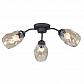 Потолочная люстра Vitaluce V4929-1/3PL - фото №1