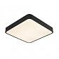 Потолочный светильник Arte Lamp A2663PL-1BK - фото №1