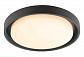 Уличный настенный светильник Deko-Light Ascella 348069 - фото №1