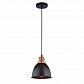 Подвесной светильник Arte Lamp Eurica A4245SP-1BK - фото №1