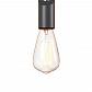 Подвесной светильник Loft IT Wickle Loft1510BL - фото №2