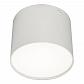 Потолочный светодиодный светильник Escada 20004SMU/01LED SWH - фото №1