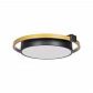 Потолочный светодиодный светильник Loft IT Mike 10169 - фото №4