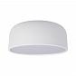 Потолочный светодиодный светильник Loft IT Axel 10201/350 White - фото №1