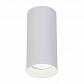 Потолочный светильник Maytoni Alfa C010CL-01W - фото №3