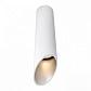 Потолочный светильник Arte Lamp Pilon-Silver A1535PL-1WH - фото №1